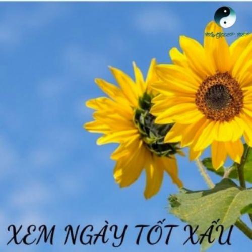 สมาชิกหมายเลข 7241729