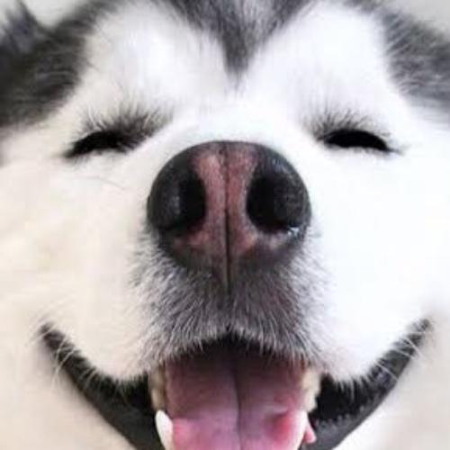 สมาชิกหมายเลข 7180872