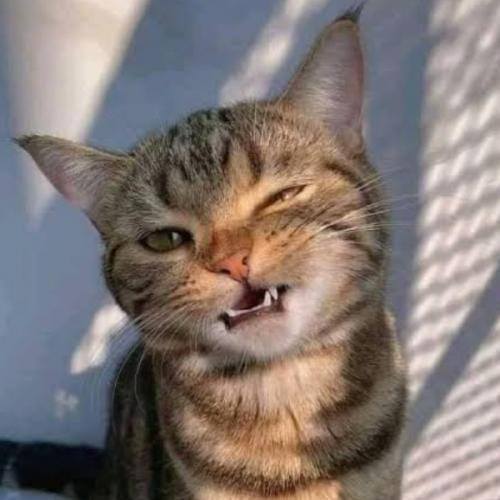 สมาชิกหมายเลข 8058067