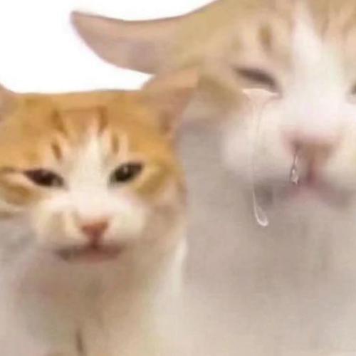 สมาชิกหมายเลข 8140671