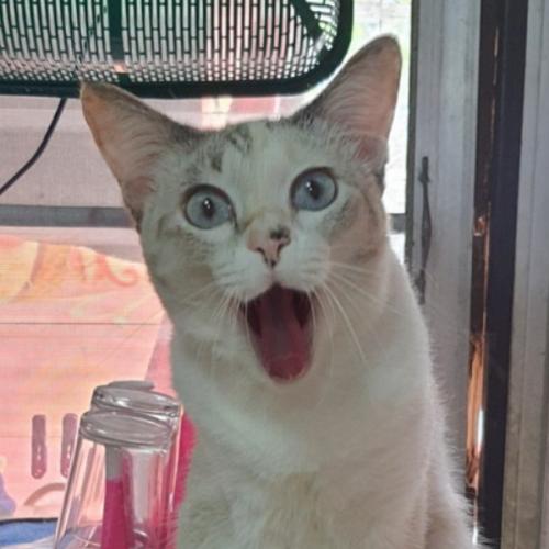 สมาชิกหมายเลข 9080106