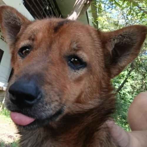 สมาชิกหมายเลข 9080469