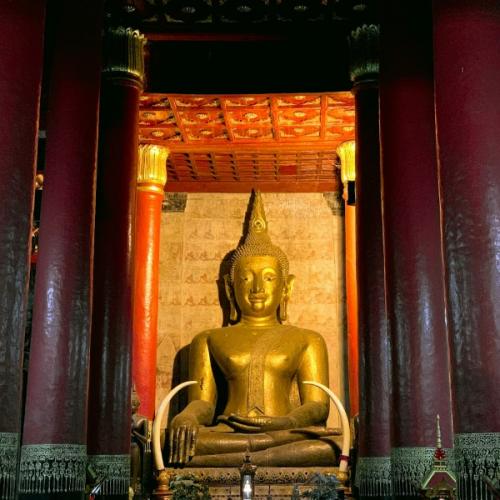 สมาชิกหมายเลข 9080667