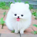 สมาชิกหมายเลข 3810392