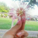 สมาชิกหมายเลข 3810412