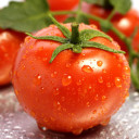 สมาชิกหมายเลข 4657515