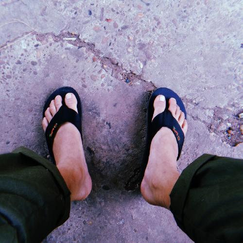 สมาชิกหมายเลข 5020900