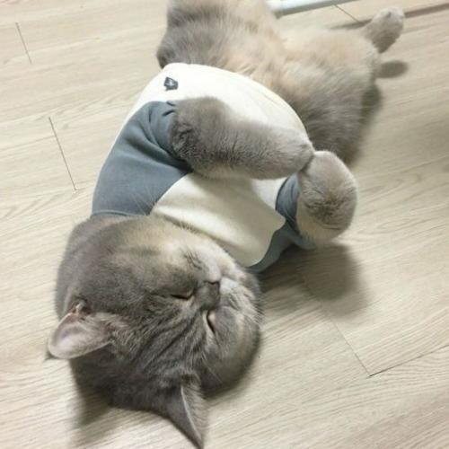 สมาชิกหมายเลข 4452898