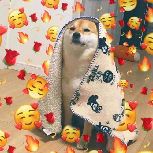 สมาชิกหมายเลข 4700596