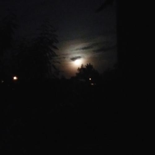 สมาชิกหมายเลข 5413471