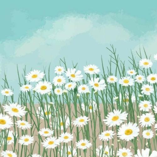 สมาชิกหมายเลข 5923698