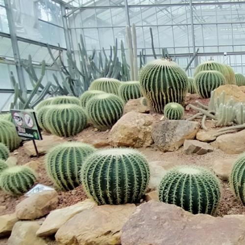 สมาชิกหมายเลข 6526307