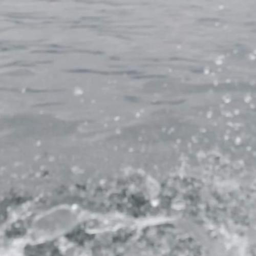 สมาชิกหมายเลข 6739136