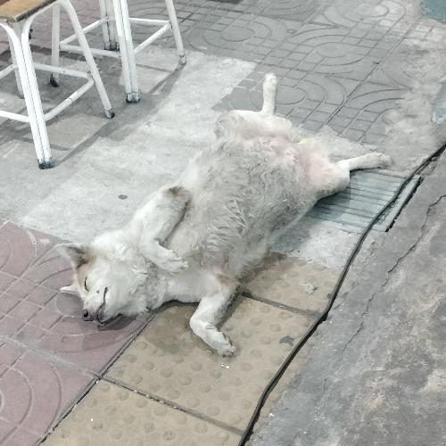 สมาชิกหมายเลข 7831027