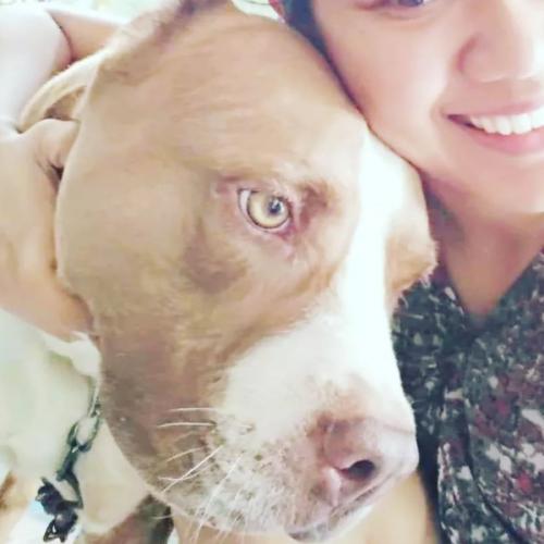 สมาชิกหมายเลข 8057617