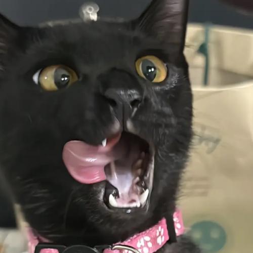 สมาชิกหมายเลข 8059019