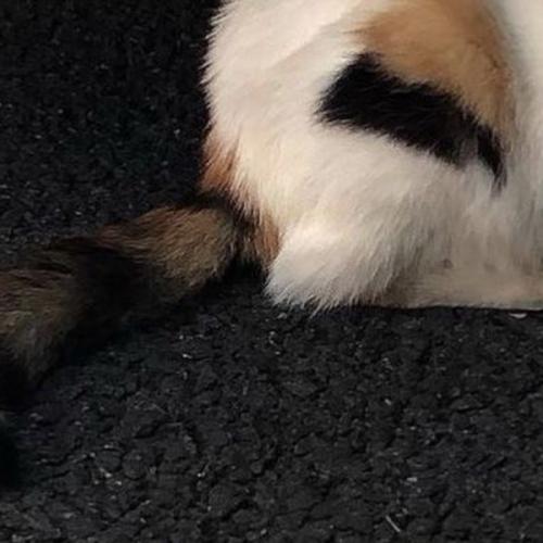 สมาชิกหมายเลข 7966276