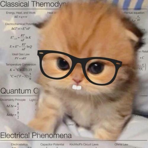 สมาชิกหมายเลข 8560429