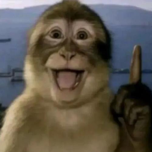 สมาชิกหมายเลข 9009706