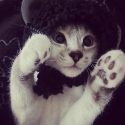 สมาชิกหมายเลข 9081202