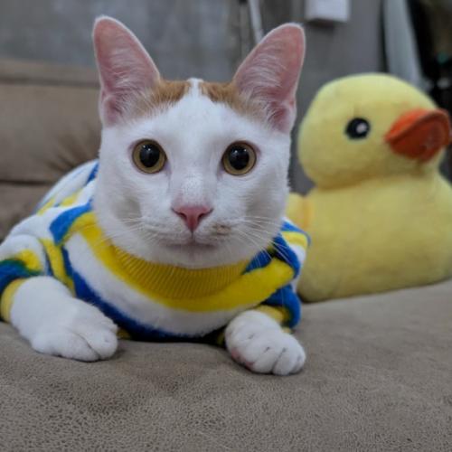 สมาชิกหมายเลข 9081414