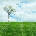 สมาชิกหมายเลข 4275810