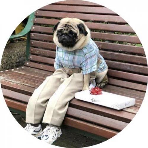 สมาชิกหมายเลข 4658190