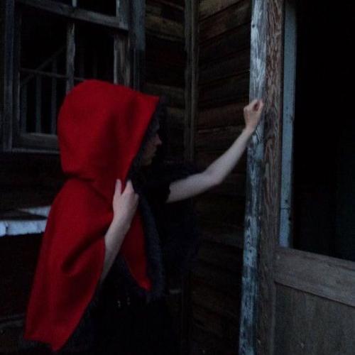 สมาชิกหมายเลข 4503239