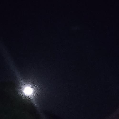 สมาชิกหมายเลข 4577500