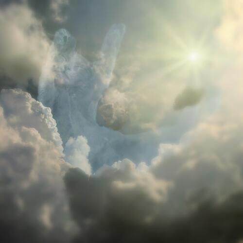 สมาชิกหมายเลข 5020923