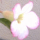 nhumtan