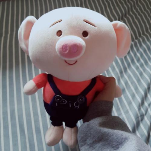 สมาชิกหมายเลข 5037756