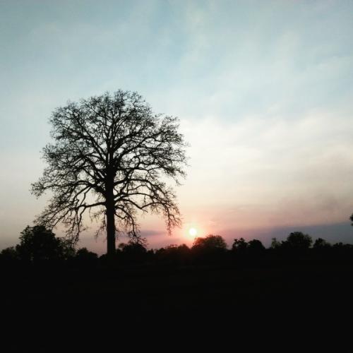 สมาชิกหมายเลข 5920136