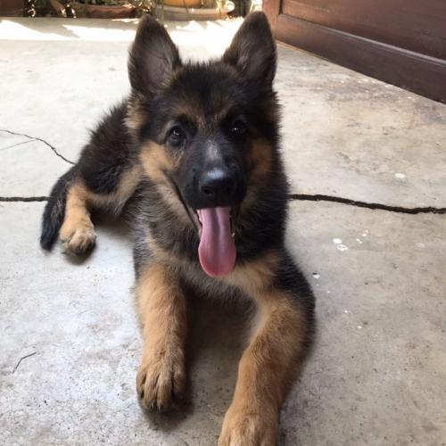 สมาชิกหมายเลข 5923799