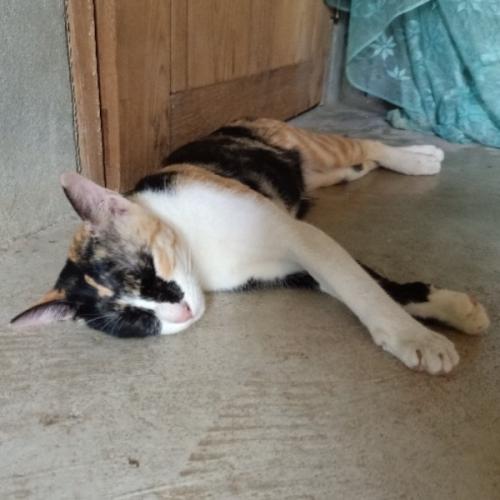 สมาชิกหมายเลข 5924289