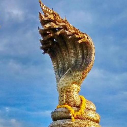 สมาชิกหมายเลข 5924301