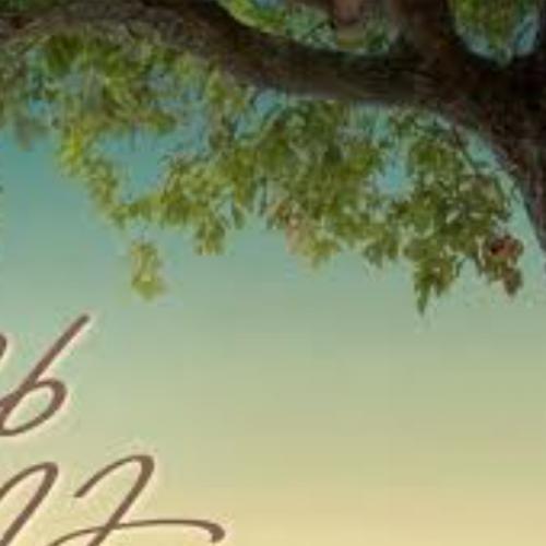 สมาชิกหมายเลข 5362815