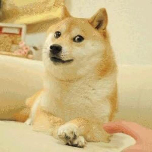 สมาชิกหมายเลข 6103522