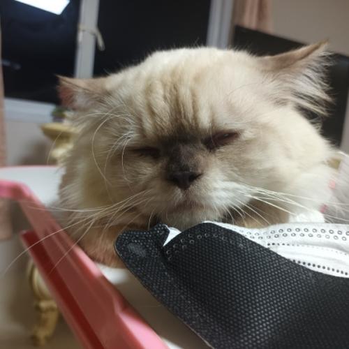 สมาชิกหมายเลข 6799965