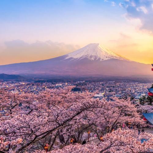 สมาชิกหมายเลข 8060323