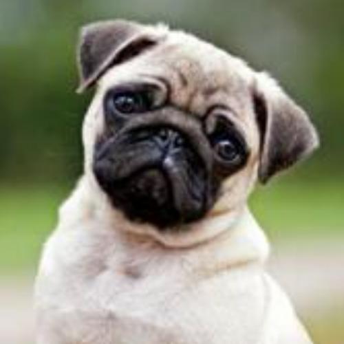 สมาชิกหมายเลข 8060337