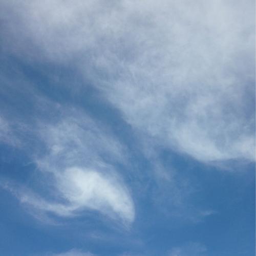 สมาชิกหมายเลข 2754004