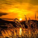 สมาชิกหมายเลข 4129053