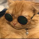 สมาชิกหมายเลข 4276361