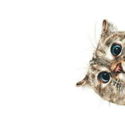 สมาชิกหมายเลข 4658373