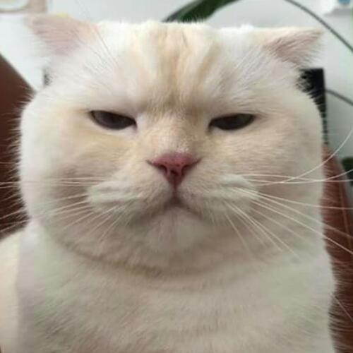 สมาชิกหมายเลข 5021571