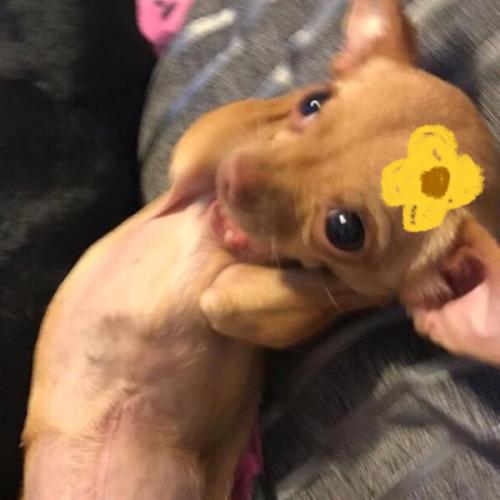 สมาชิกหมายเลข 4167051