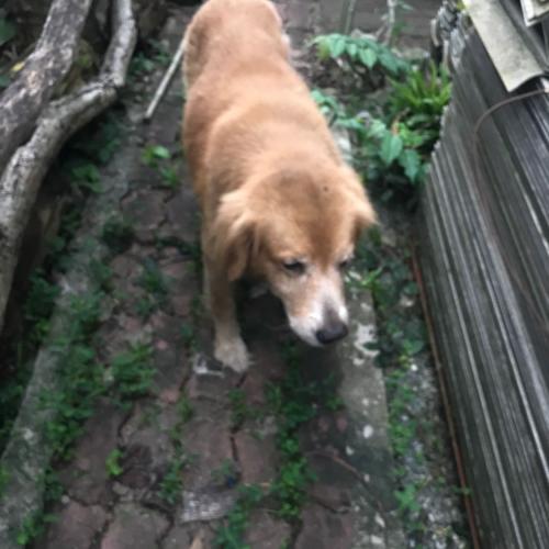 ก็นั่นแหละ