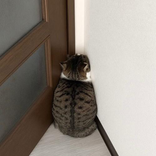 สมาชิกหมายเลข 2996086