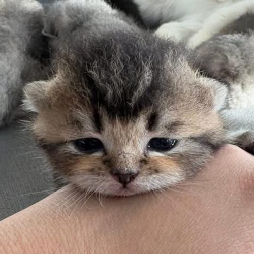 สมาชิกหมายเลข 8379530